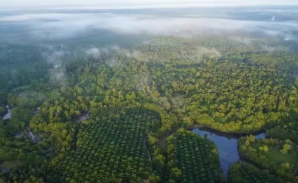 UL2799​废弃物零填埋对纺织园区废弃物处理标准